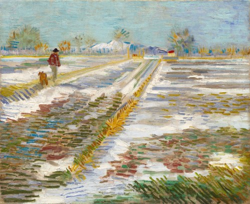 Landscape with snow